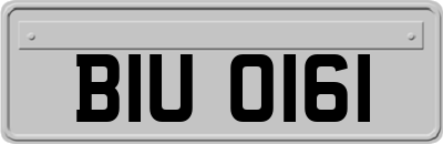 BIU0161