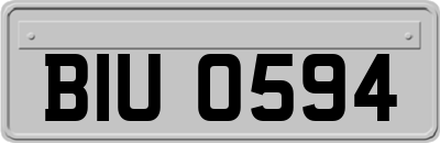 BIU0594