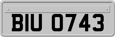 BIU0743