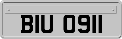 BIU0911