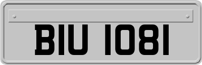 BIU1081