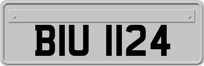 BIU1124