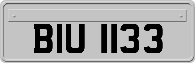 BIU1133