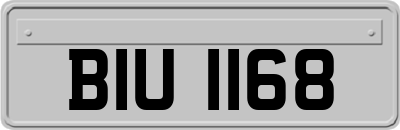 BIU1168