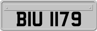 BIU1179