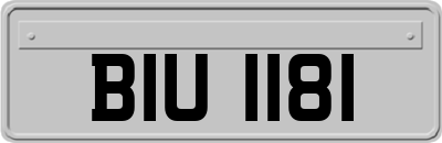 BIU1181