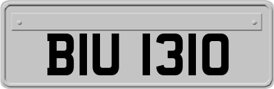 BIU1310
