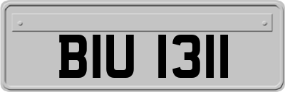 BIU1311