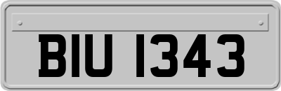 BIU1343