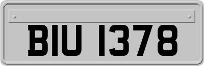 BIU1378