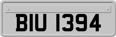 BIU1394
