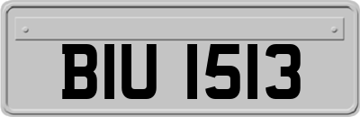 BIU1513