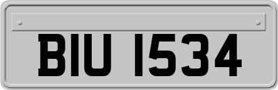 BIU1534