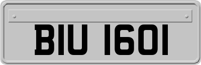 BIU1601