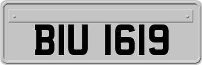 BIU1619