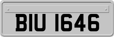 BIU1646