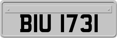 BIU1731