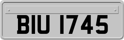 BIU1745
