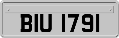 BIU1791