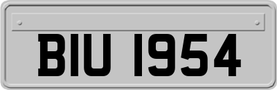 BIU1954