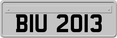 BIU2013