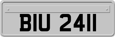 BIU2411