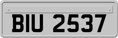 BIU2537