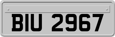 BIU2967