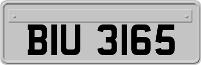 BIU3165