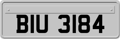 BIU3184