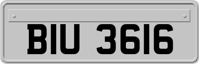 BIU3616