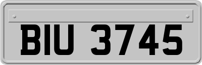BIU3745