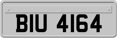 BIU4164