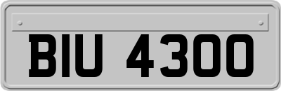 BIU4300