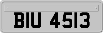 BIU4513