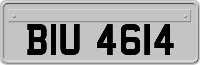BIU4614