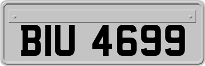 BIU4699