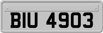 BIU4903