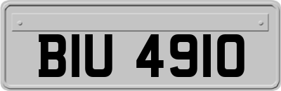 BIU4910