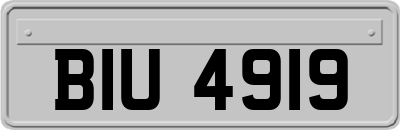BIU4919