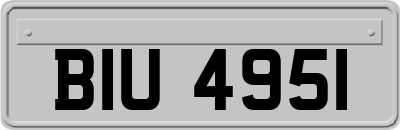 BIU4951