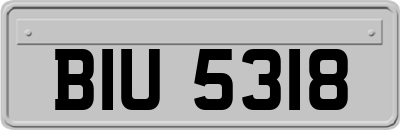 BIU5318