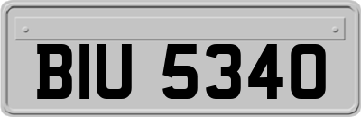 BIU5340