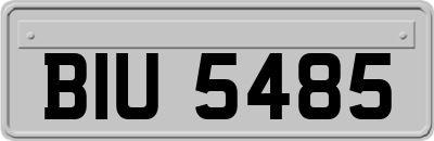 BIU5485