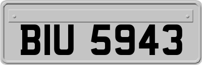 BIU5943
