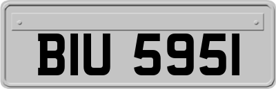 BIU5951