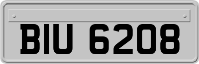 BIU6208