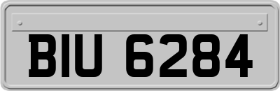 BIU6284