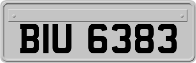 BIU6383