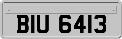BIU6413